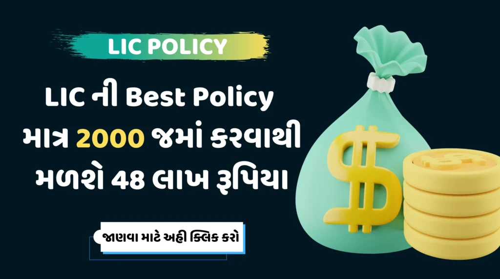 LIC POLICY